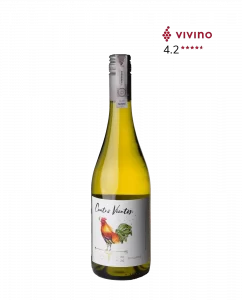 Cuatro Vientos Viognier to białe wytrawne wino z Chile uwielbiane przez naszych klientów